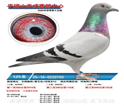 ƽ��ɽ��ɾ���125��