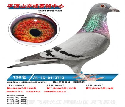 ƽ��ɽ��ɾ���126��