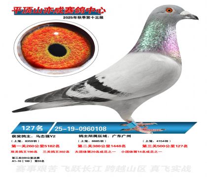 ƽ��ɽ��ɾ���127��