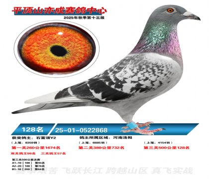 ƽ��ɽ��ɾ���128��