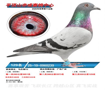 ƽ��ɽ��ɾ���129��