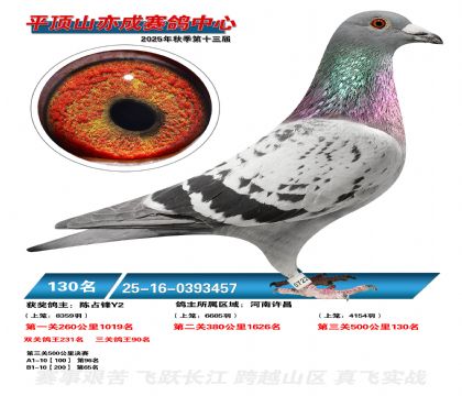 ƽ��ɽ��ɾ���130��