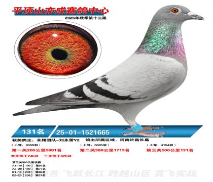 ƽ��ɽ��ɾ���131��