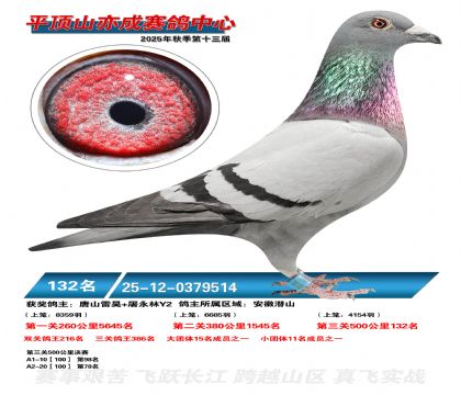 ƽ��ɽ��ɾ���132��