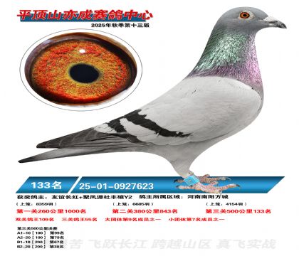 ƽ��ɽ��ɾ���133��