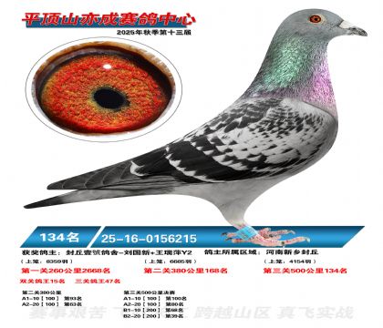 ƽ��ɽ��ɾ���134��