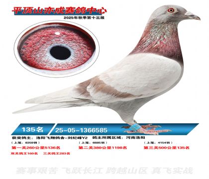 ƽ��ɽ��ɾ���135��