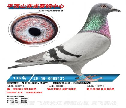 ƽ��ɽ��ɾ���136��