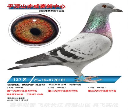 ƽ��ɽ��ɾ���137��