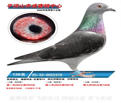 ƽ��ɽ��ɾ���138��