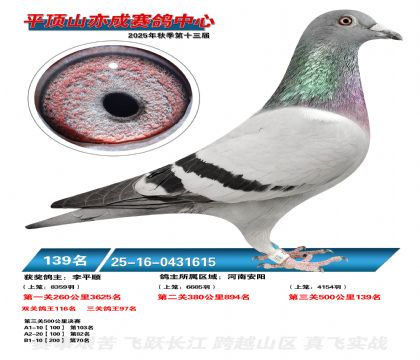 ƽ��ɽ��ɾ���139��