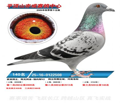 ƽ��ɽ��ɾ���140��