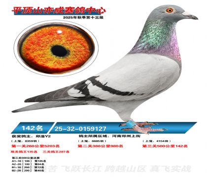 ƽ��ɽ��ɾ���142��