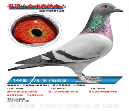 ƽ��ɽ��ɾ���144��