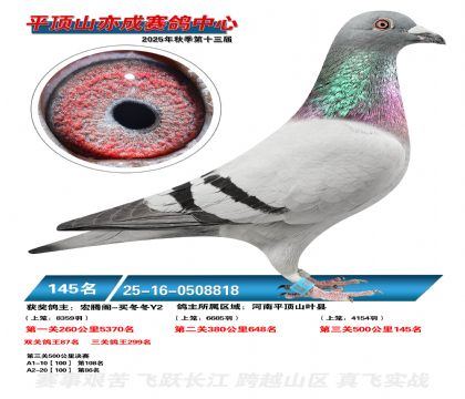 ƽ��ɽ��ɾ���145��