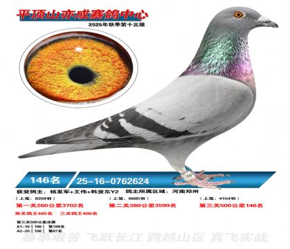 ƽ��ɽ��ɾ���146��