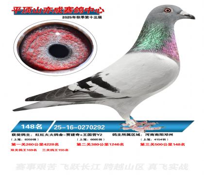 ƽ��ɽ��ɾ���148��