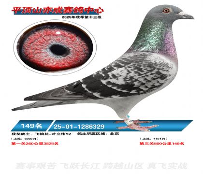 ƽ��ɽ��ɾ���149��