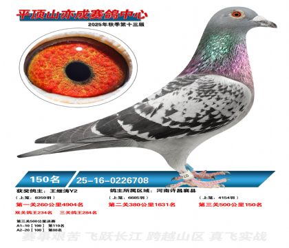 ƽ��ɽ��ɾ���150��