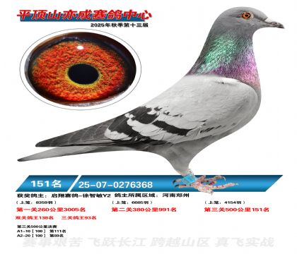 ƽ��ɽ��ɾ���151��