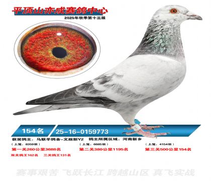 ƽ��ɽ��ɾ���154��