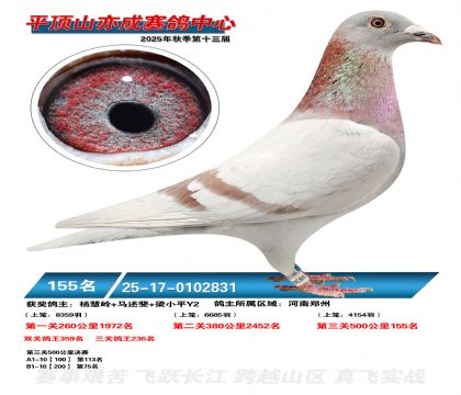 ƽ��ɽ��ɾ���155��