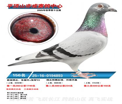 ƽ��ɽ��ɾ���156��