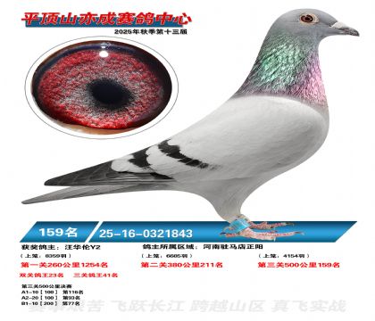 ƽ��ɽ��ɾ���159��