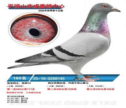 ƽ��ɽ��ɾ���160��