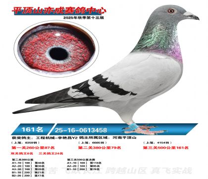 ƽ��ɽ��ɾ���161��