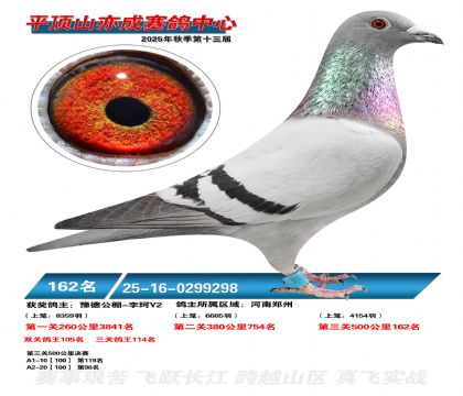 ƽ��ɽ��ɾ���162��