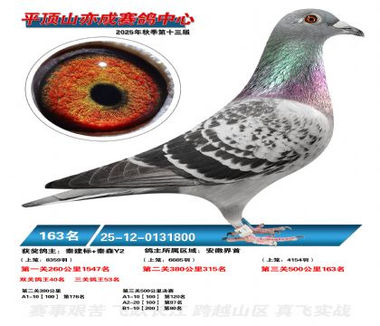 ƽ��ɽ��ɾ���163��