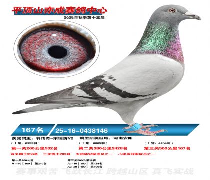 ƽ��ɽ��ɾ���167��