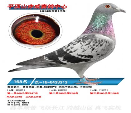 ƽ��ɽ��ɾ���168��