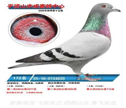 ƽ��ɽ��ɾ���172��