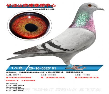 ƽ��ɽ��ɾ���173��