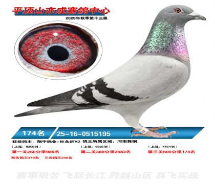 ƽ��ɽ��ɾ���174��