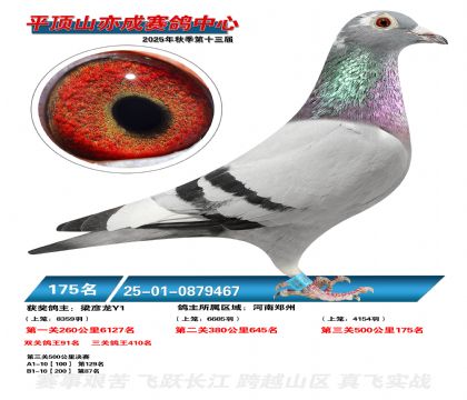 ƽ��ɽ��ɾ���175��