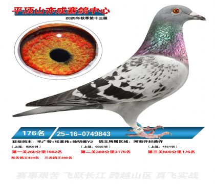 ƽ��ɽ��ɾ���176��