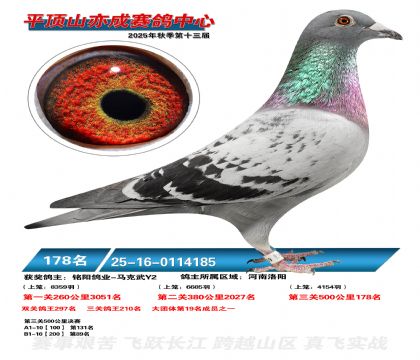 ƽ��ɽ��ɾ���178��