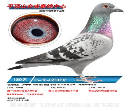 ƽ��ɽ��ɾ���180��