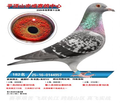 ƽ��ɽ��ɾ���182��