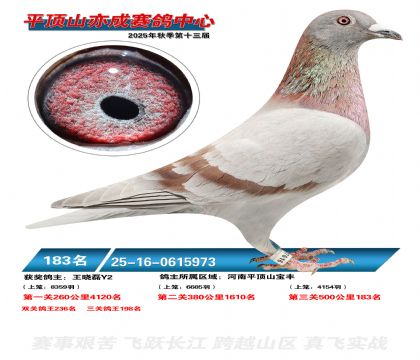 ƽ��ɽ��ɾ���183��