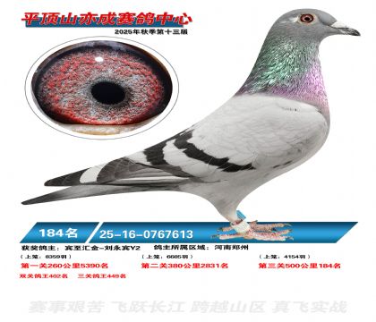 ƽ��ɽ��ɾ���184��