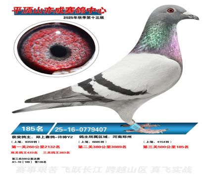 ƽ��ɽ��ɾ���185��