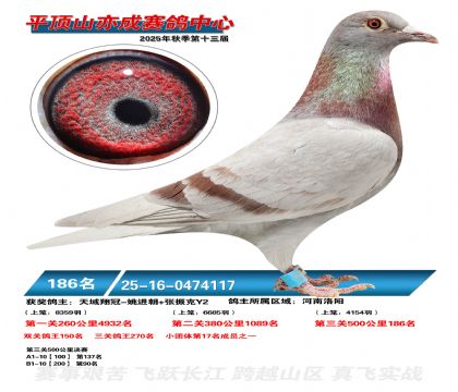 ƽ��ɽ��ɾ���186��