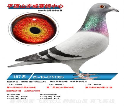 ƽ��ɽ��ɾ���187��