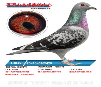 ƽ��ɽ��ɾ���188��