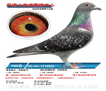 ƽ��ɽ��ɾ���190��