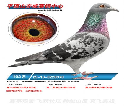 ƽ��ɽ��ɾ���192��